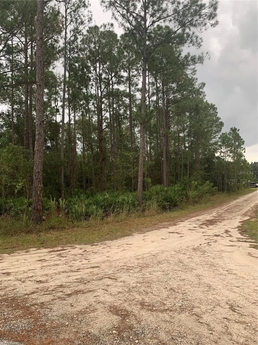 Oil Well Road, Clermont, FL 34714 - Image #3
