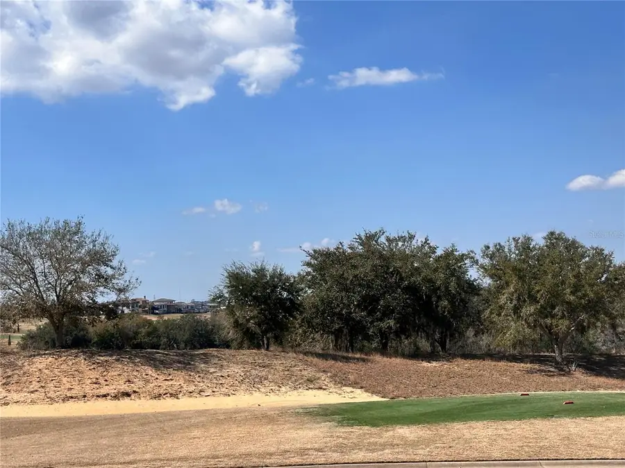 16238 Ravenna Court, Bella Collina, FL 34756 - #2
