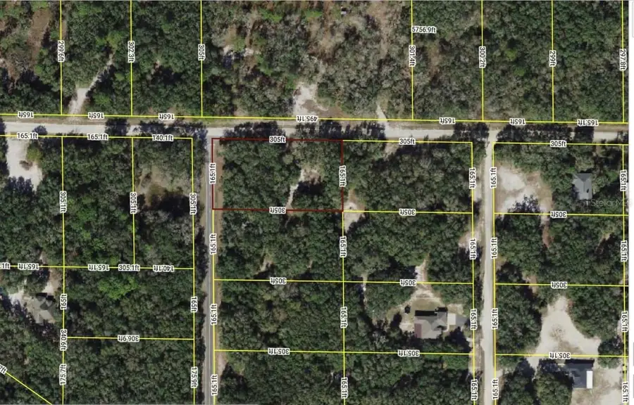 34406 Rim Rock Street, Webster, FL 33597 - #2