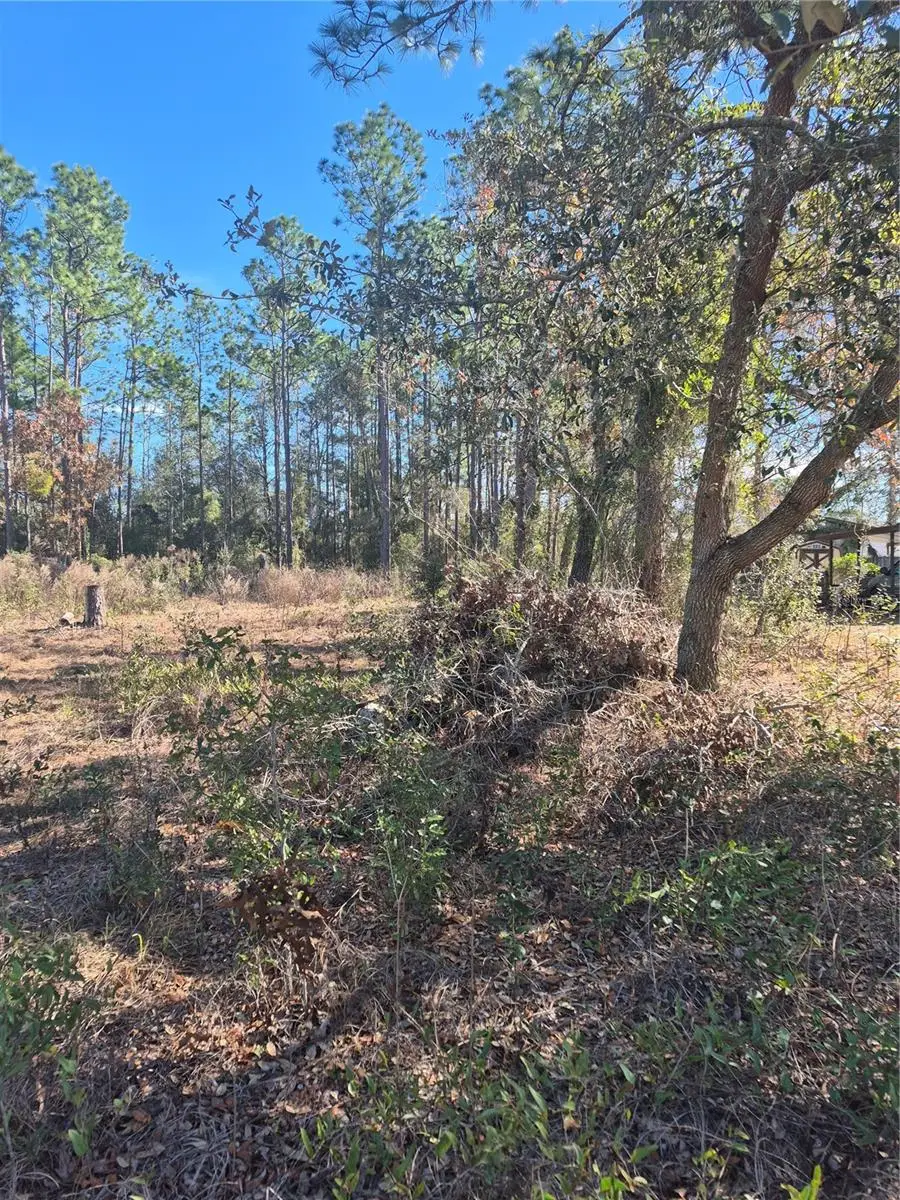 SE 87 Ter, Belleview, FL 34420 - #3