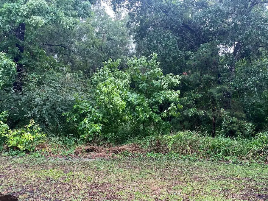 Sharon Street, Brooksville, FL 34601 - #2