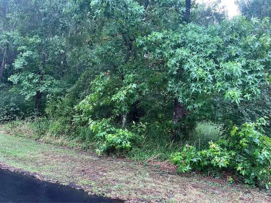 Sharon Street, Brooksville, FL 34601 - #3