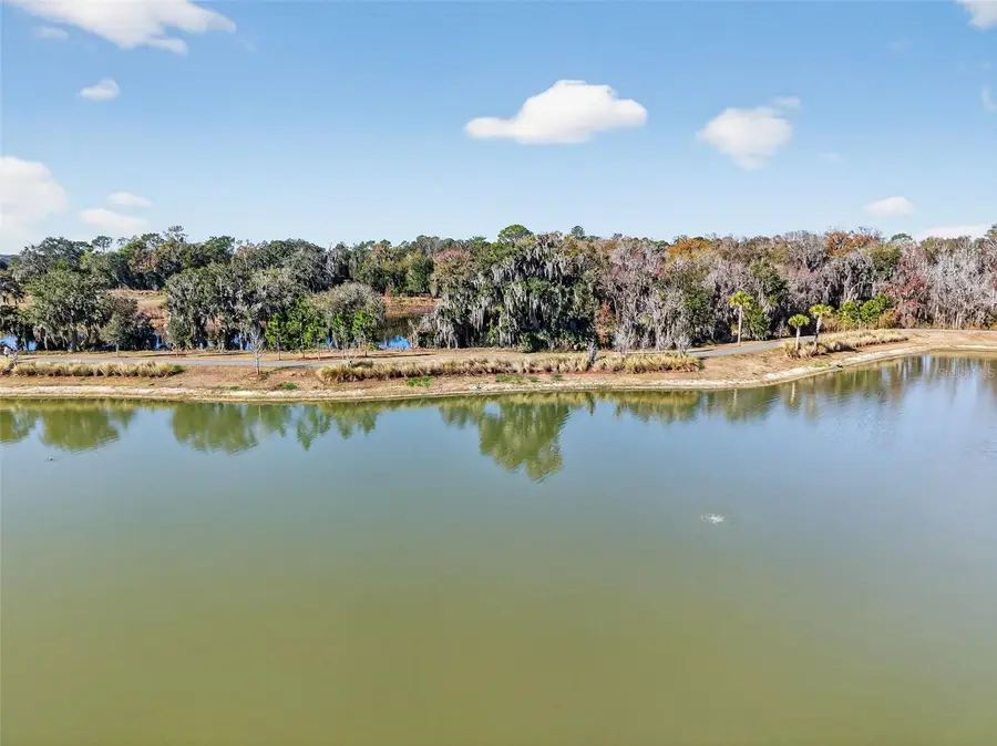 4138 Burgess Drive, The Villages, FL 32163 - Image #2