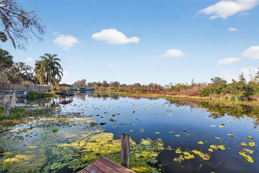 4128 Harry Drive, Fruitland Park, FL 34731 - Image #3