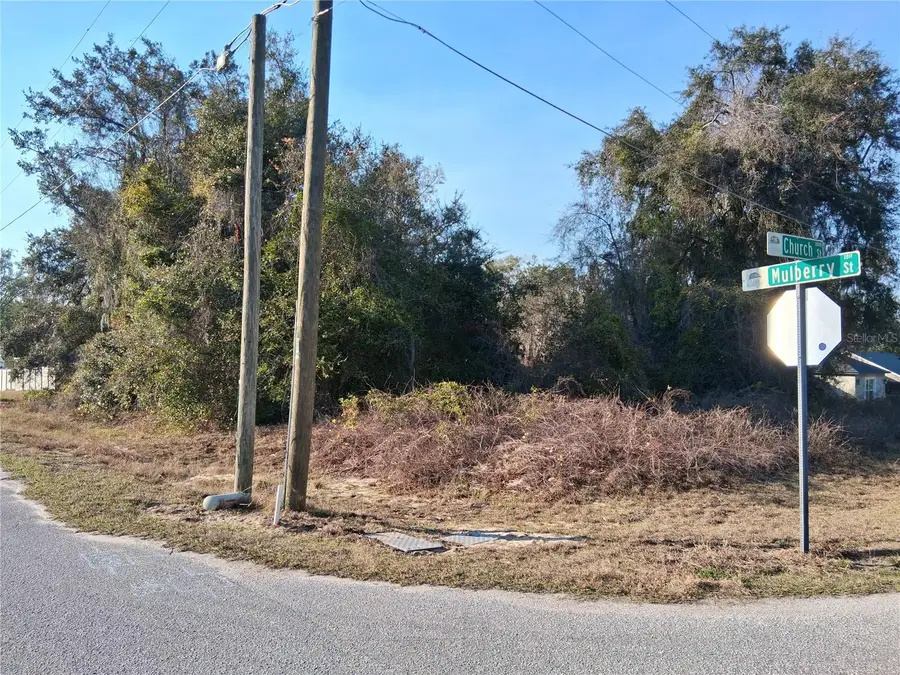 Mulberry Street, Groveland, FL 34736 - Image #2