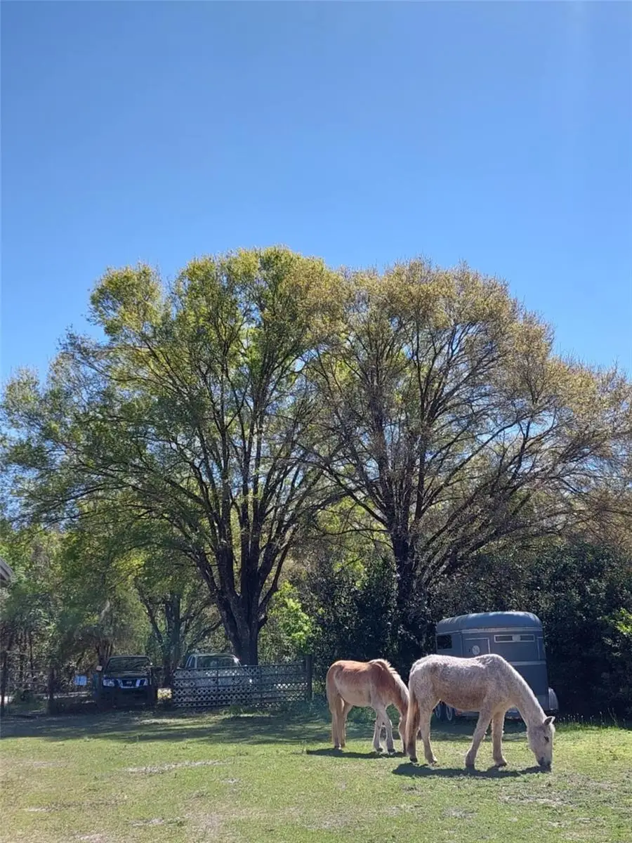 14016 N. Hwy 301, Thonotosassa, FL 33592 - #2