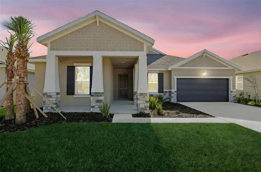 17374 Crisp Apple Lane, Land O Lakes, FL 34638 - #2