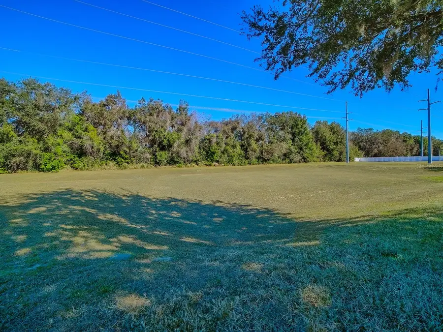 33122 Meadow Side Court, Leesburg, FL 34748 - Image #2