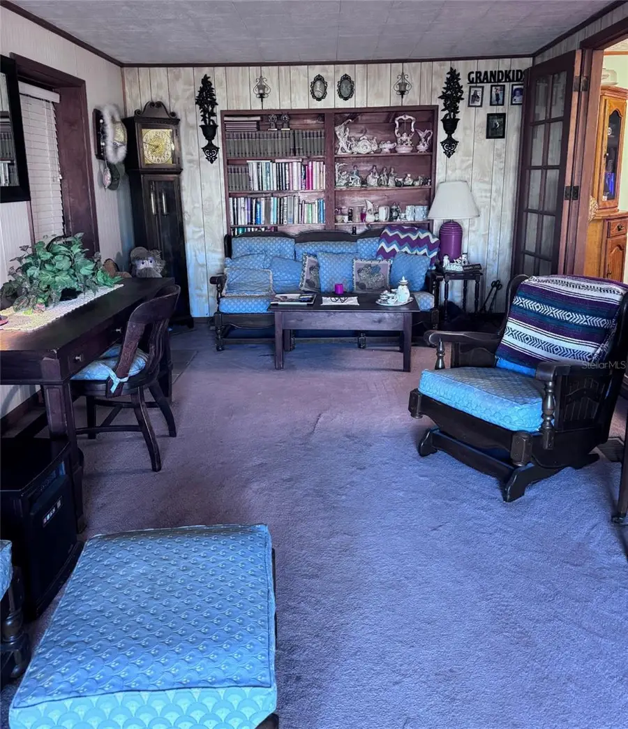 17134 Lake Ingram Road, Winter Garden, FL 34787 - #3