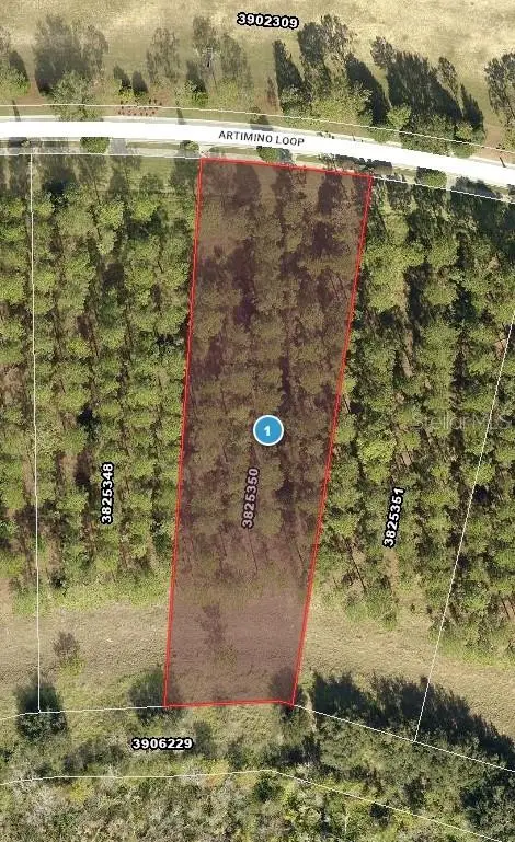 16802 Artimino Loop, Bella Collina, FL 34756 - #2
