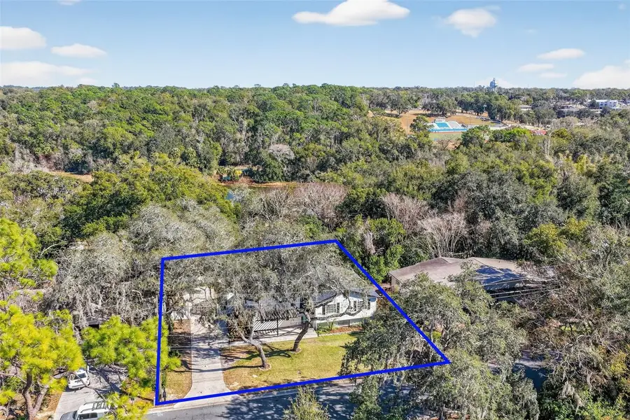1824 Crestview Drive, Mount Dora, FL 32757 - Image #3