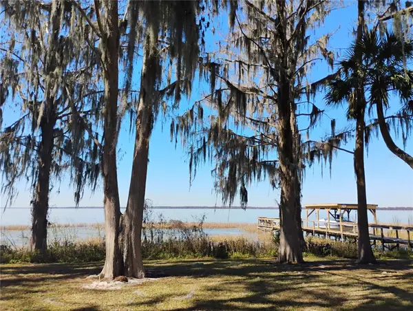 31035 Cove Road, TAVARES, FL 32778