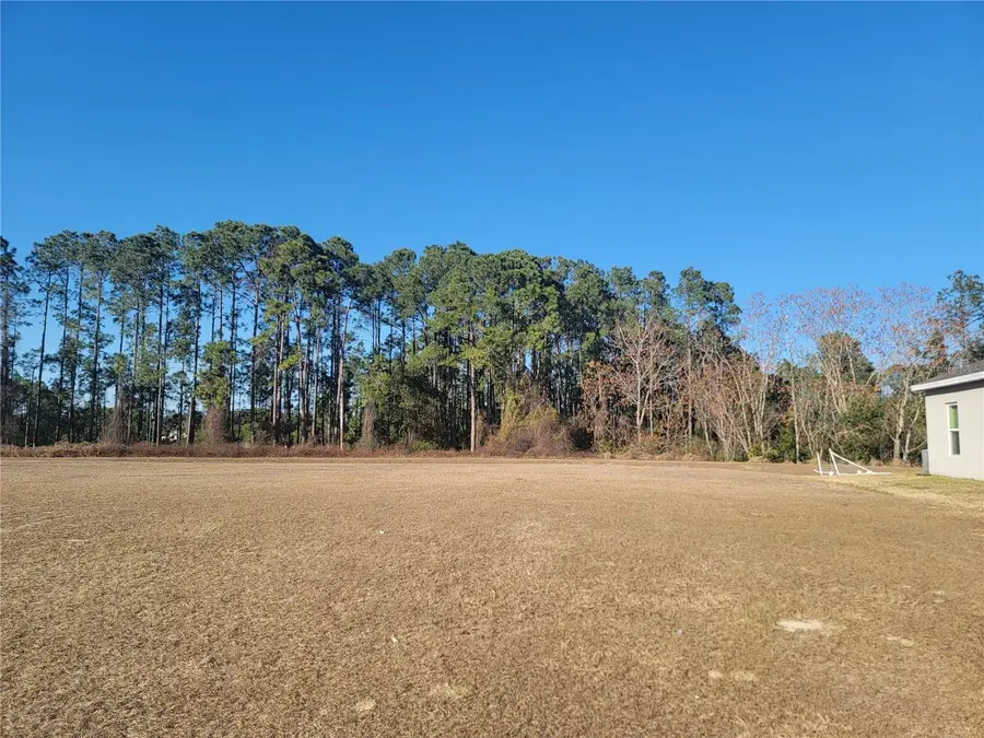 5820 Windsong Oak Drive, Leesburg, FL 34748 - Image #2