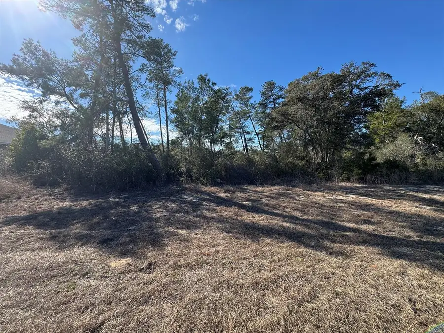 0000 SW 170th Loop, Ocala, FL 34473 - #3