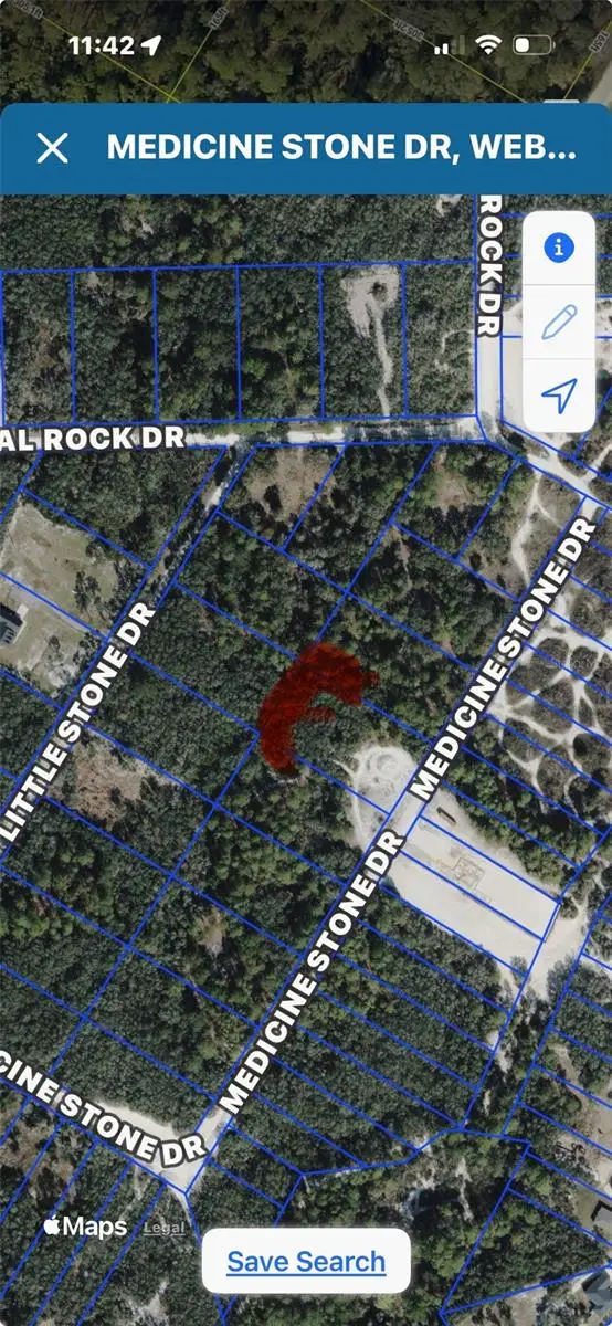 Medicine Stone Drive, Webster, FL 33597 - #2