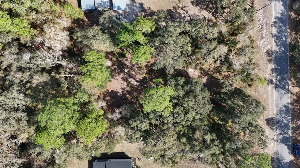 30553 Saffron Avenue, Eustis, FL 32736 - #1