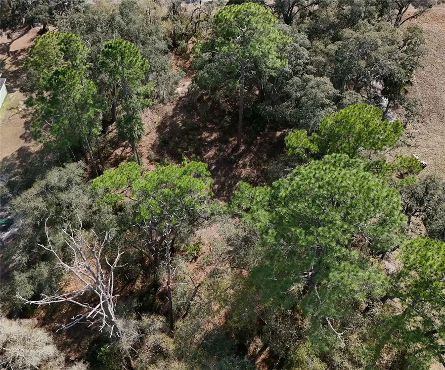 30553 Saffron Avenue, Eustis, FL 32736 - #3