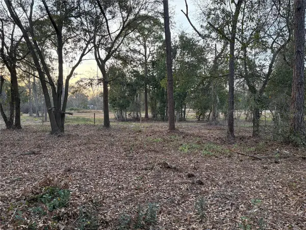 0 Alturas Babson Park Cutoff Road #Lot 78, BARTOW, FL 33830