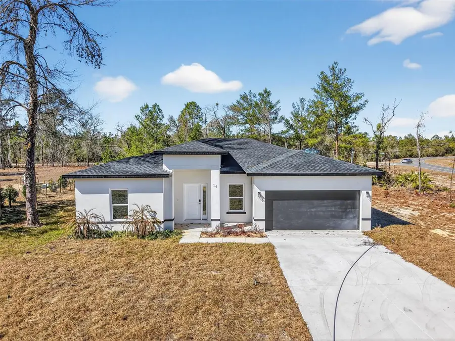 16 Malauka Lane Drive, Ocklawaha, FL 32179 - #2