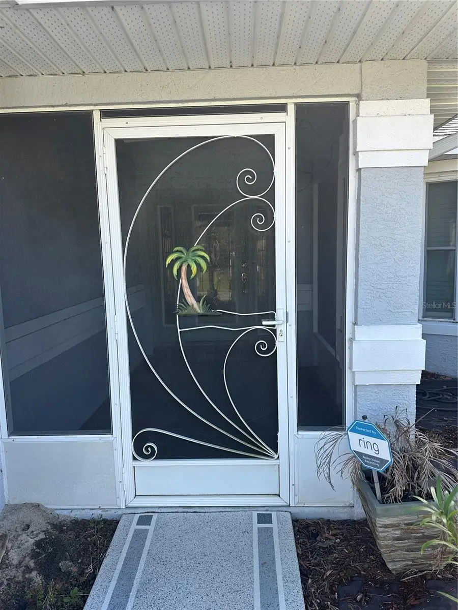 6501 Borg Street, Leesburg, FL 34748 - #2