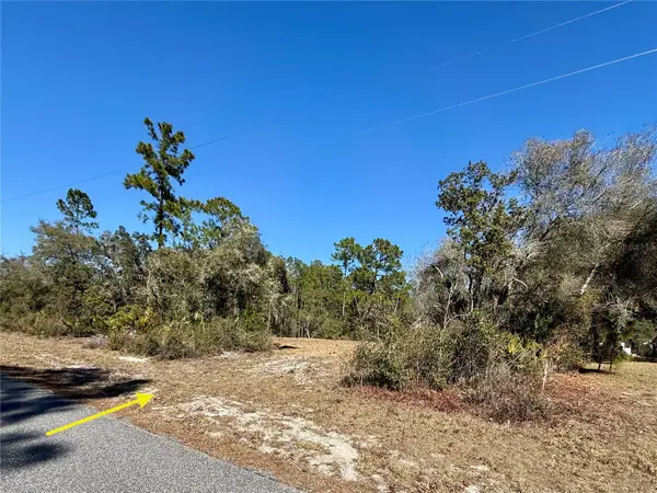 LOT 11 Poinciana Street, EUSTIS, FL 32736