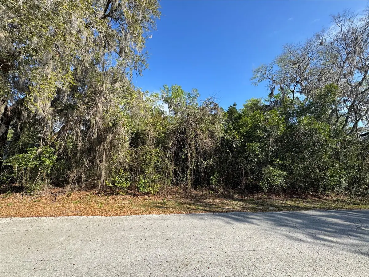 Cr 482c, Lake Panasoffkee, FL 33538 - #1