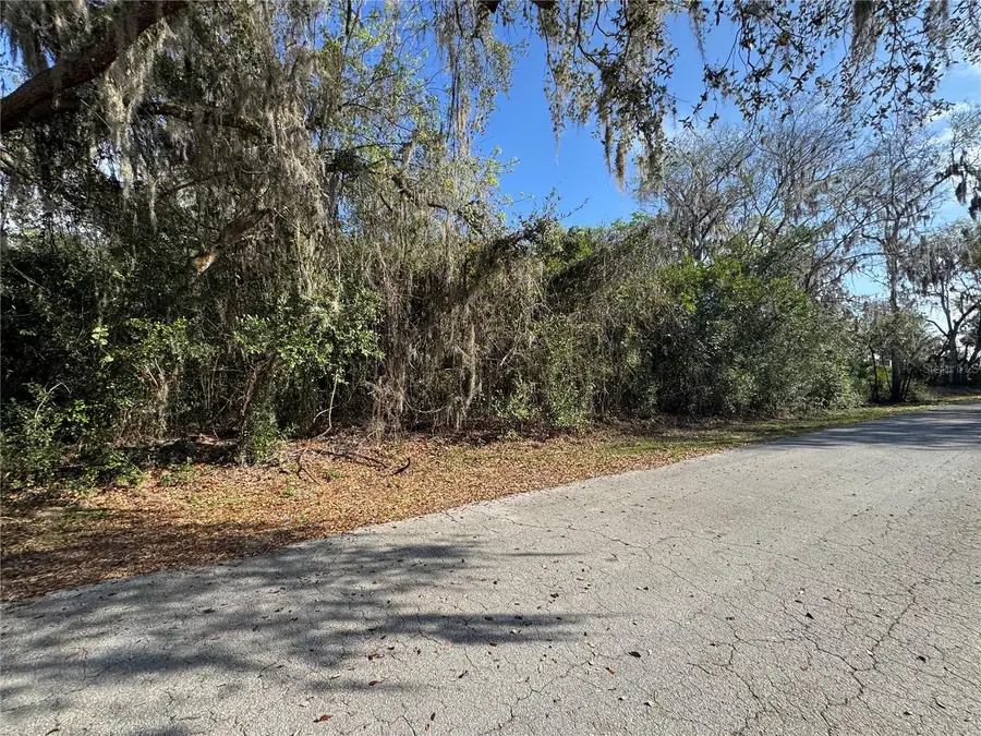 Cr 482c, Lake Panasoffkee, FL 33538 - #2