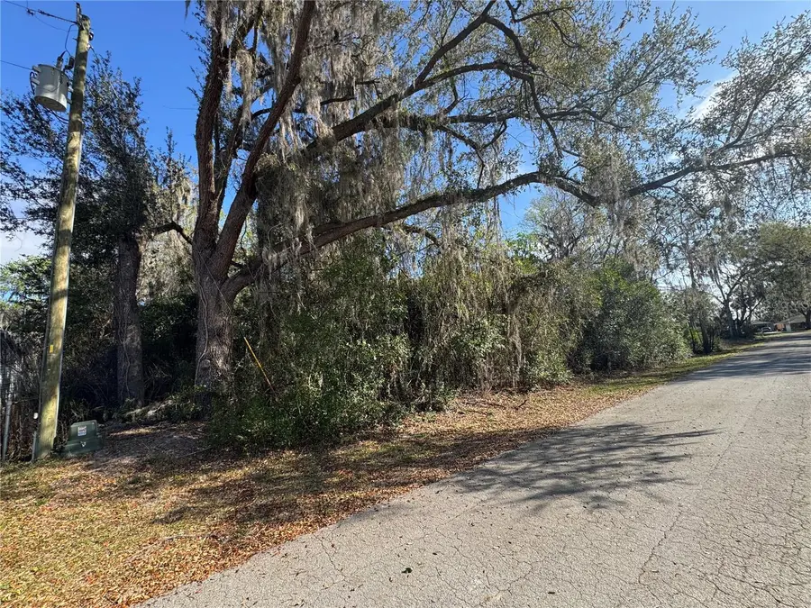 Cr 482c, Lake Panasoffkee, FL 33538 - #3