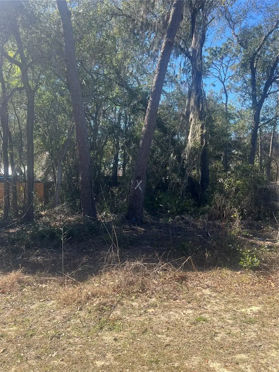 W Second Avenue, Umatilla, FL 32784 - #1