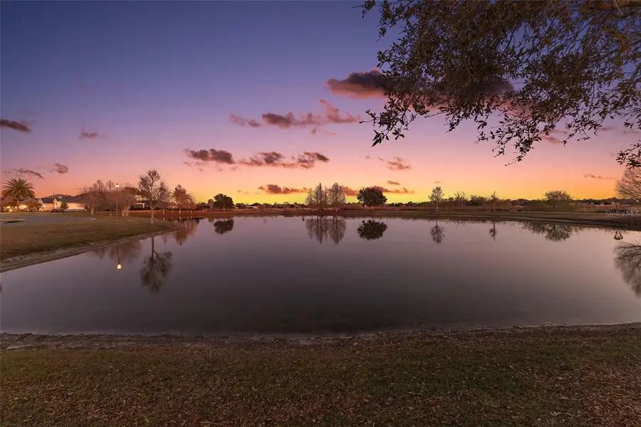 3587 Alzarine Terrace, The Villages, FL 32163 - #2