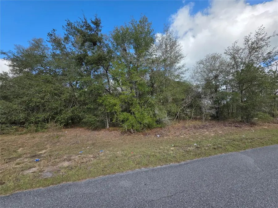 TBD Locust Loop Circle, Ocala, FL 34472 - #2