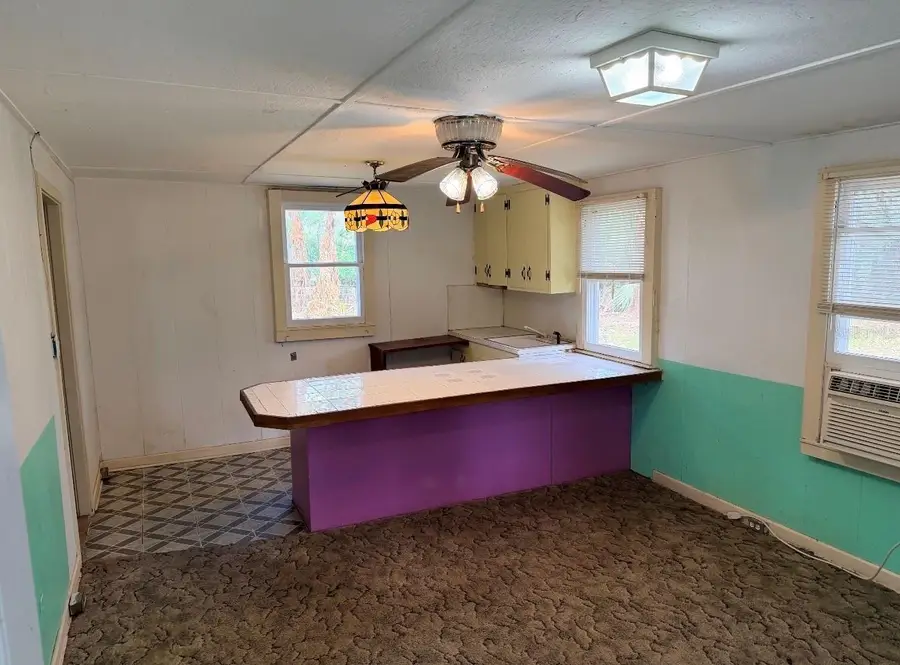 1710 Northwest 29th Road, Lake Panasoffkee, FL 33538 - #3