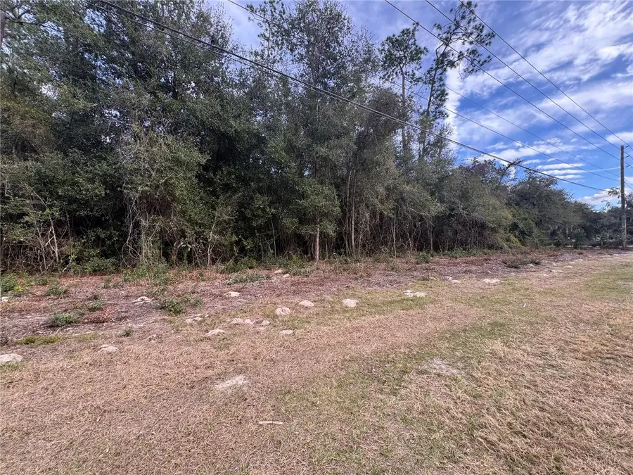 TBD Us 301, Bushnell, FL 33513 - #2