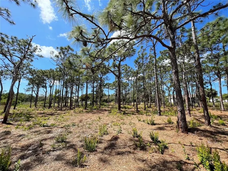 6438 Fuller Drive, Bokeelia, FL 33922 - #2