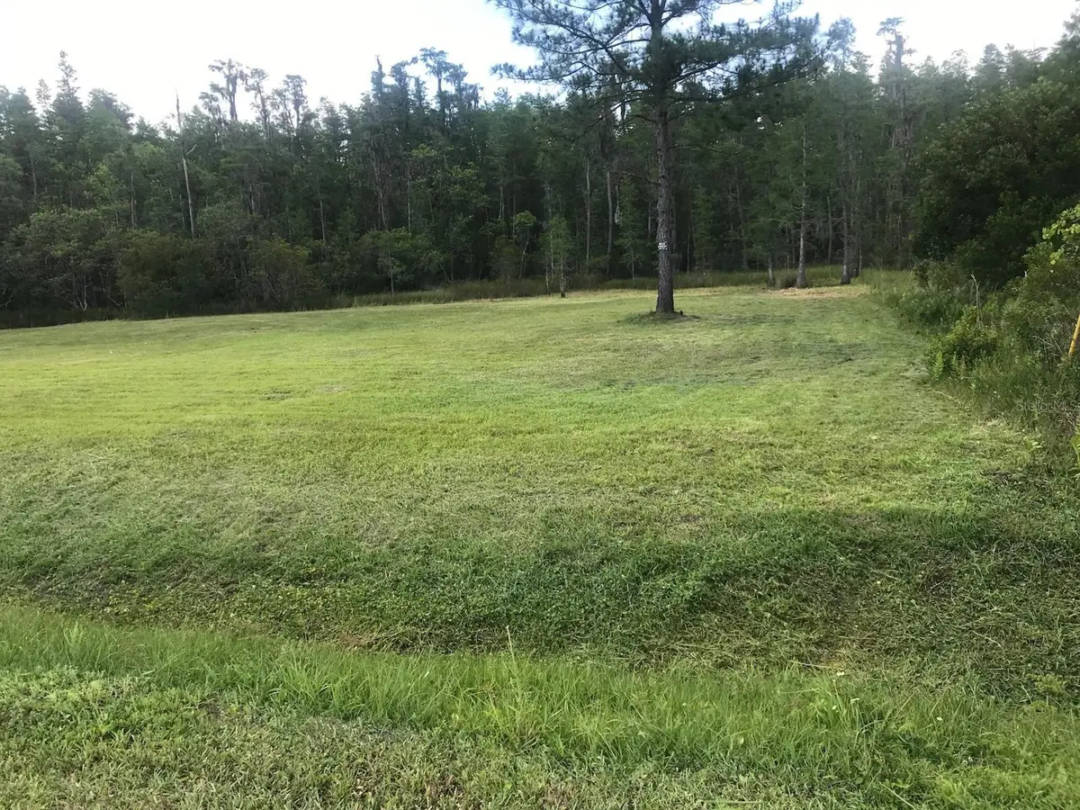 26545 C C Lane, Wesley Chapel, FL 33544 - #1