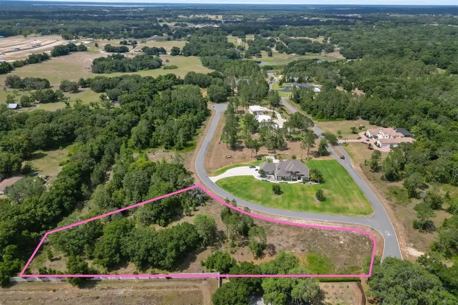 000 Darlington Avenue, Lady Lake, FL 32159 - #2