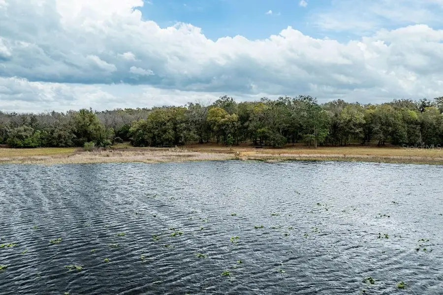 Forest 02 Road, Umatilla, FL 32784 - #2