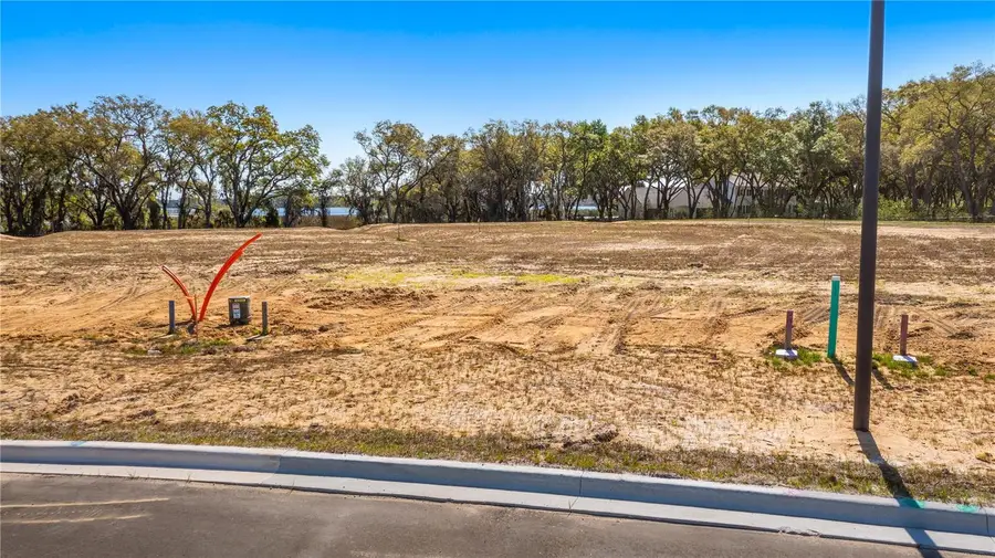 Marigold Belle Circle, Clermont, FL 34711 - #2