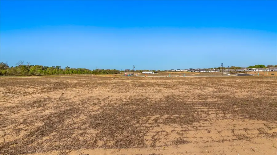 Marigold Belle Circle, Clermont, FL 34711 - #3