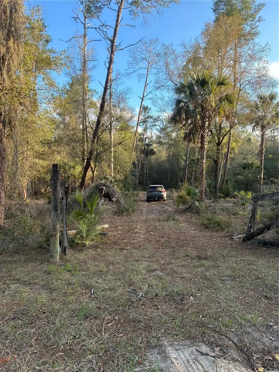 G58 Old Deer Road, Paisley, FL 32767 - #1