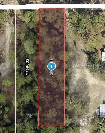 G58 Old Deer Road, Paisley, FL 32767 - #3