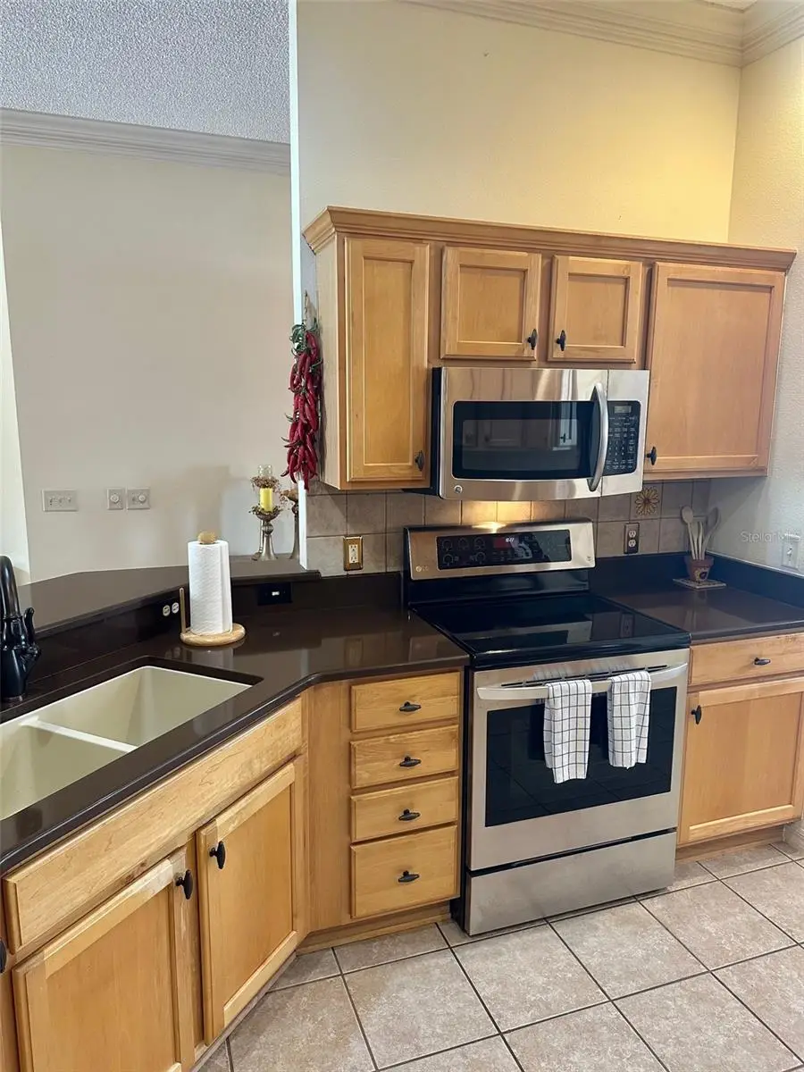 1259 Addison Avenue, The Villages, FL 32162 - #3