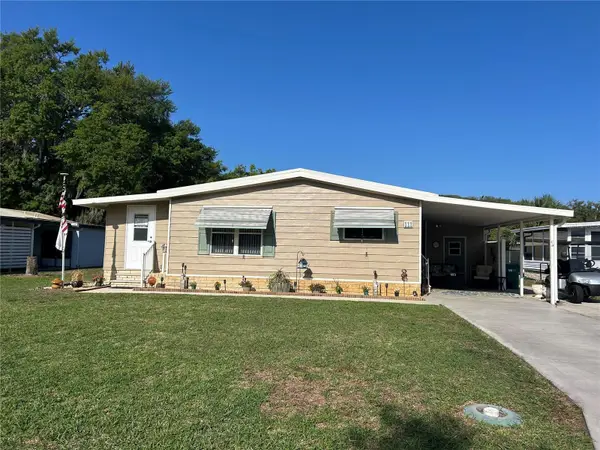 111 Winterberry Avenue, WILDWOOD, FL 34785