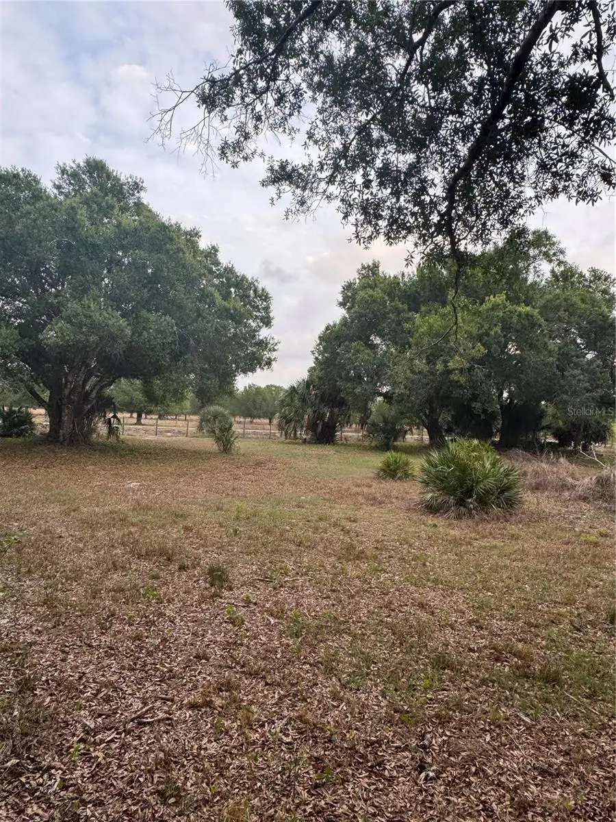 10963 SE Shelfer Avenue, Arcadia, FL 34266 - #3