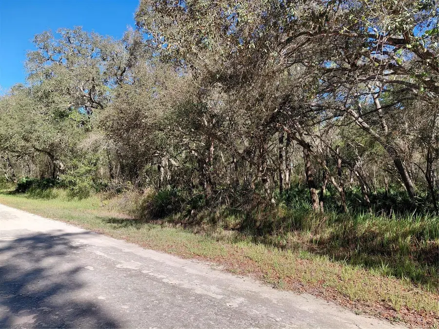 36031 Butternut Drive, Webster, FL 33597 - #2