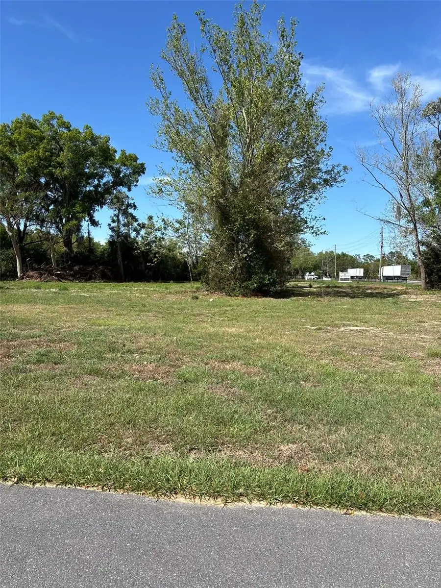 State Road 19, Groveland, FL 34736 - #2
