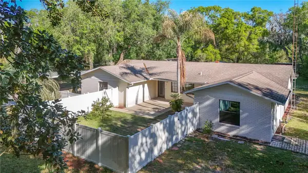 11449 Ocklawaha Drive, LEESBURG, FL 34788