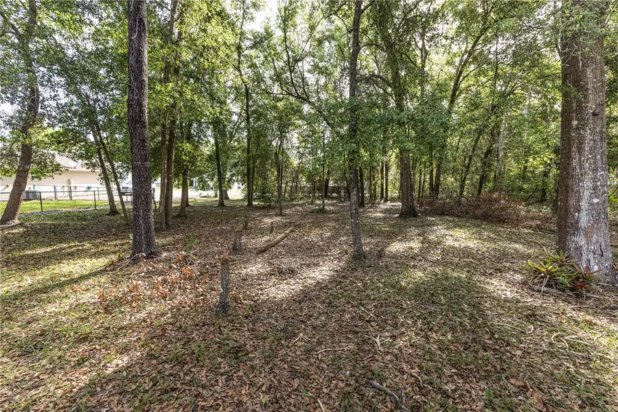 TBD SE 83rd Court, Summerfield, FL 34491 - #3