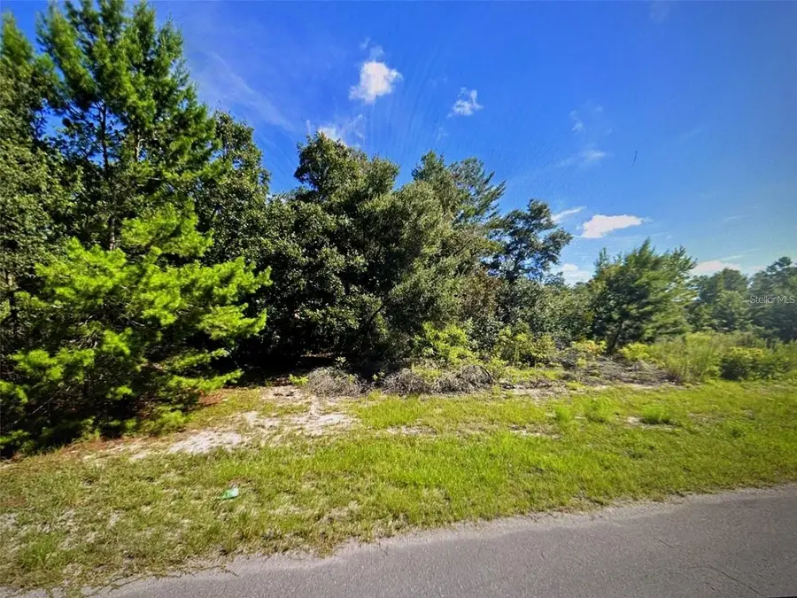 SW 41st Court, Ocala, FL 34473 - #3