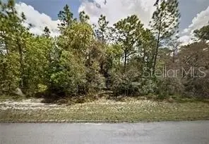 Marion Oaks Pass, Ocala, FL 34473 - #3